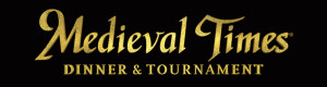 Gallery 1 - Medieval Times Dinner & Tournament