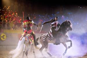 Gallery 2 - Medieval Times Dinner & Tournament