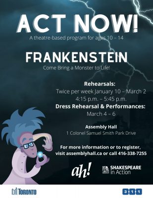 Act NOW: Theatre Program - Postponed