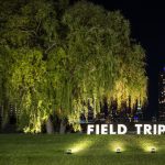 Gallery 2 - Field Trip 2022