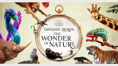 Fantastic Beasts™: The Wonder of Nature