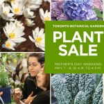 Toronto Botanical Garden Spring Plant Sale on Mother’s Day Weekend