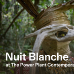 Nuit Blanche at The Power Plant