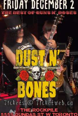 Dust n Bones-Tribute to Guns n Roses