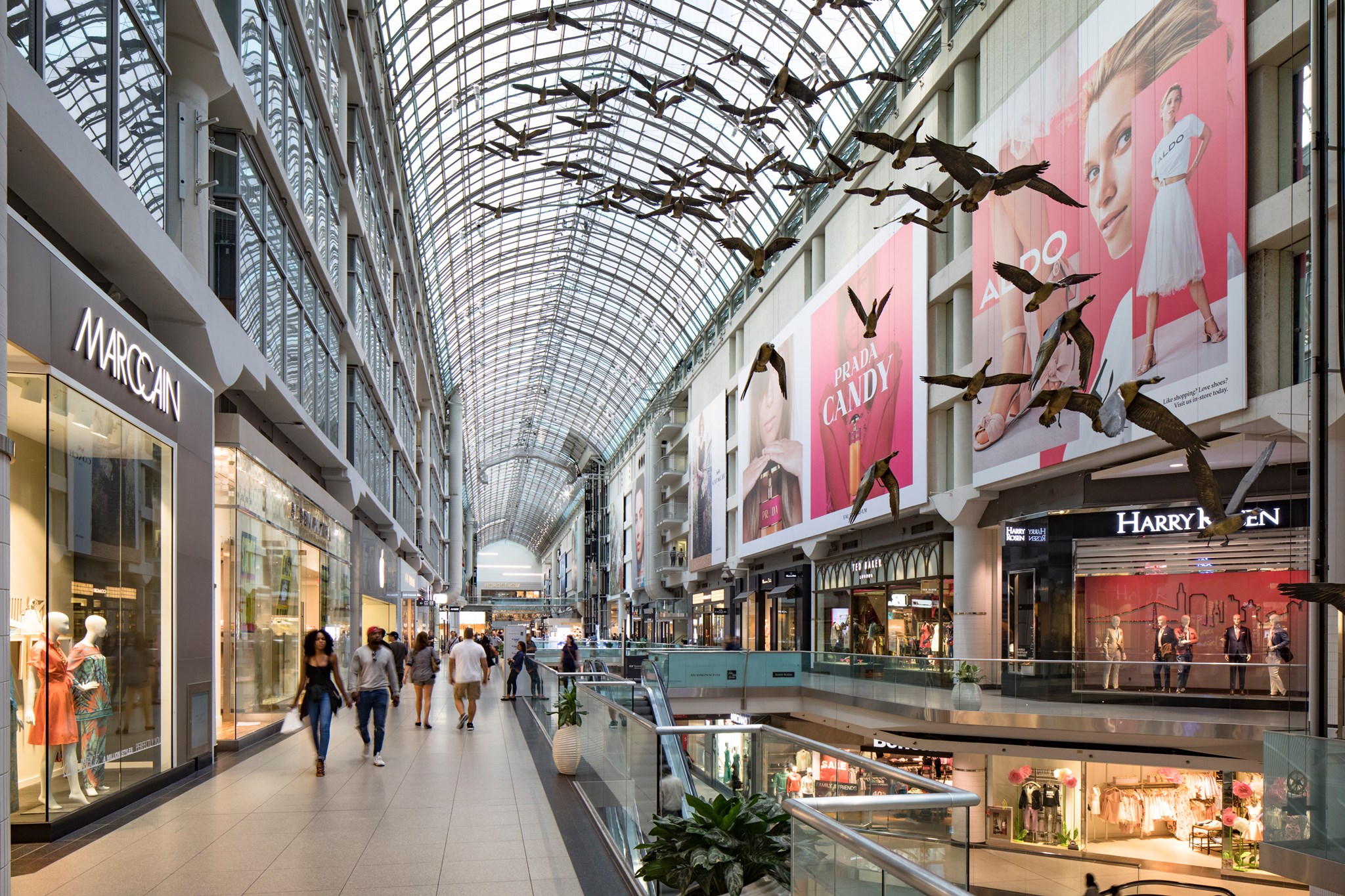 One shopping center. Итон-центр Торонто. CF Toronto Eaton Centre. «Итон-центр», г. Торонто (Канада. Торонто Канада торговый центр.
