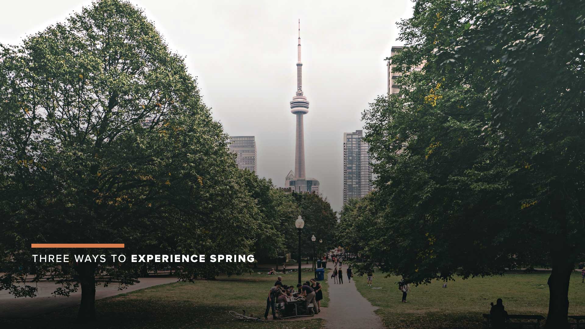 Three Ways to Experience Spring, 6ix-Style