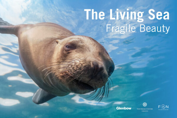 The Living Sea - Fragile Beauty Exhibit