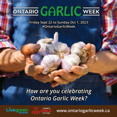 Ontario Garlic Week: Oven Roasted Garlic @ Dufferin Grove Market