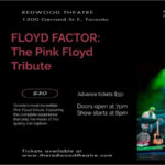 Floyd Factor: The Pink Floyd Tribute