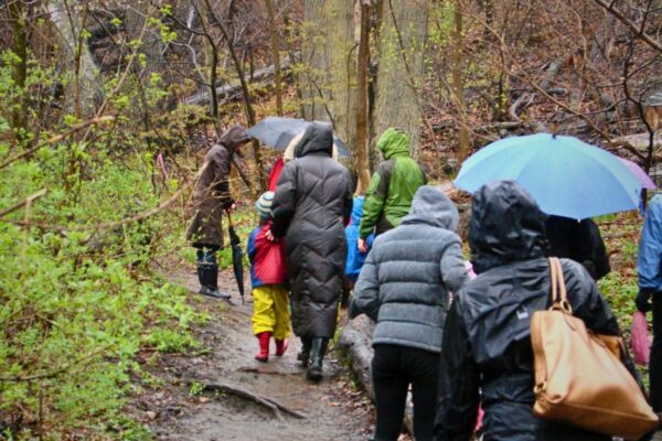 April Showers Family Nature Walk in High Park