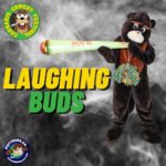 Cannabis Comedy Festival Presents: Laughing Buds 2024