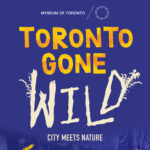 Toronto Gone Wild