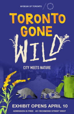 Toronto Gone Wild