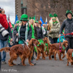 Gallery 12 - St. Patrick's Parade of Toronto