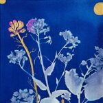 Art Class: Cyanotype Botanical Blue Print