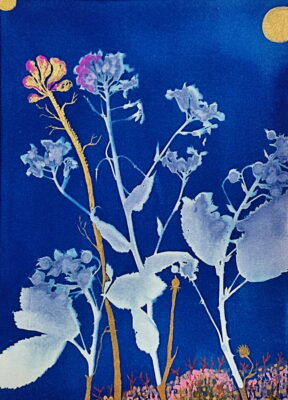 Art Class: Cyanotype Botanical Blue Print