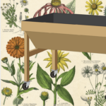 Mayworks Festival: A Garden and a Library Planting Workshop