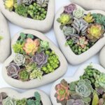 Mother's Day Succulent Heart Workshop