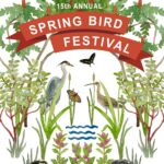 Spring Bird Festival