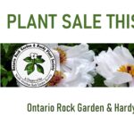 Super Plant Sale