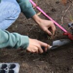 Community Planting in High Park
