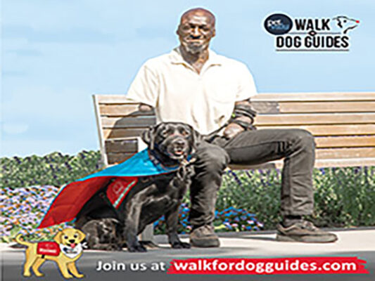 Pet Valu Walk for Dog Guides
