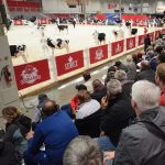Gallery 1 - The Royal Agricultural Winter Fair