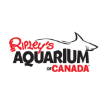 Gallery 13 - Ripley's Aquarium of Canada