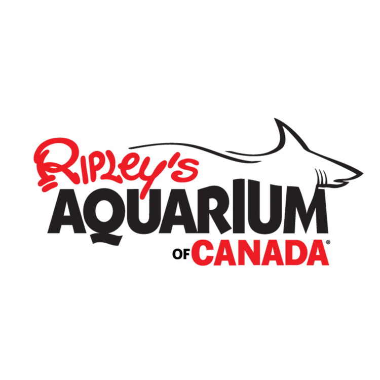 Gallery 13 - Ripley's Aquarium of Canada