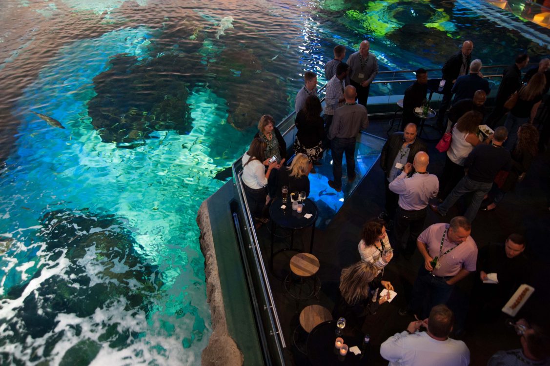 Gallery 9 - Ripley's Aquarium of Canada