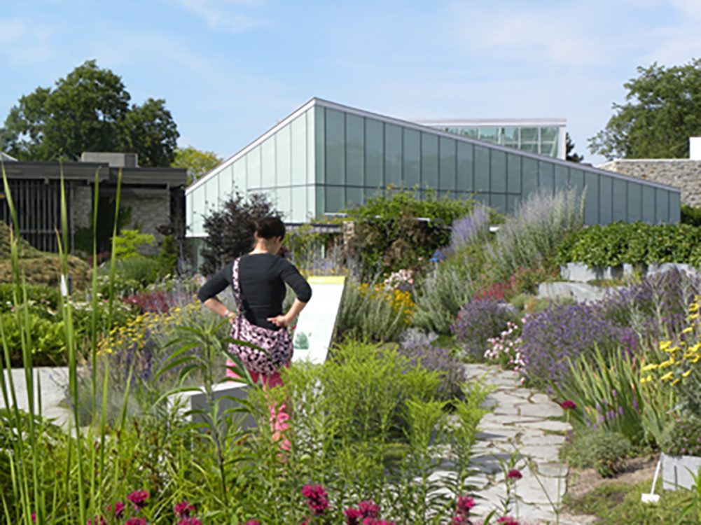 Gallery 3 - Toronto Botanical Garden
